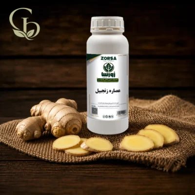 عصاره زنجبیل مایع 1