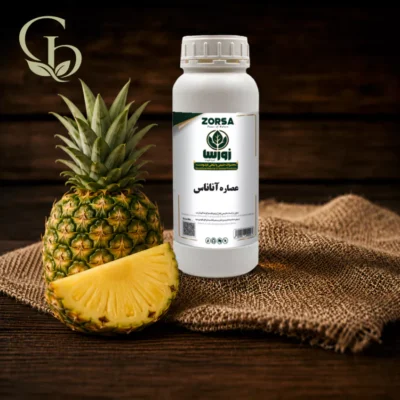 عصاره آناناس مایع 1