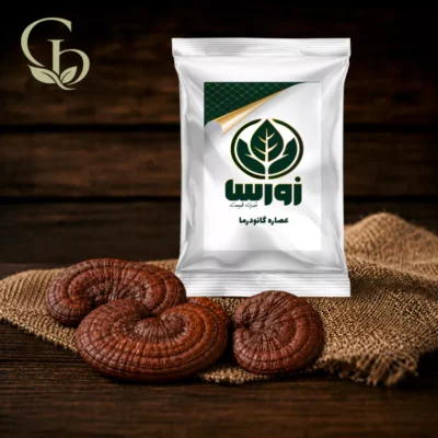 عصاره گانودرما پودری 1