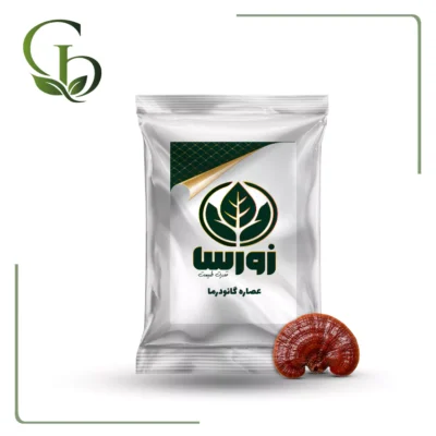 عصاره گانودرما پودری