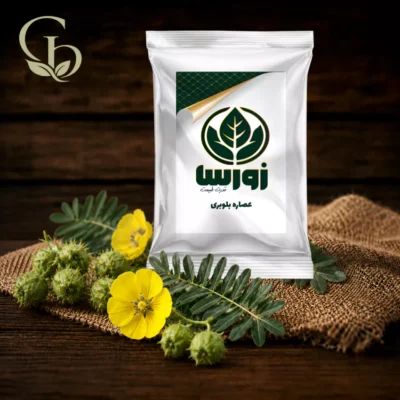 عصاره خارخاسک پودری 1