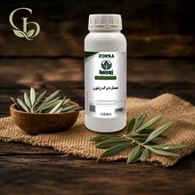 عصاره برگ زیتون 1