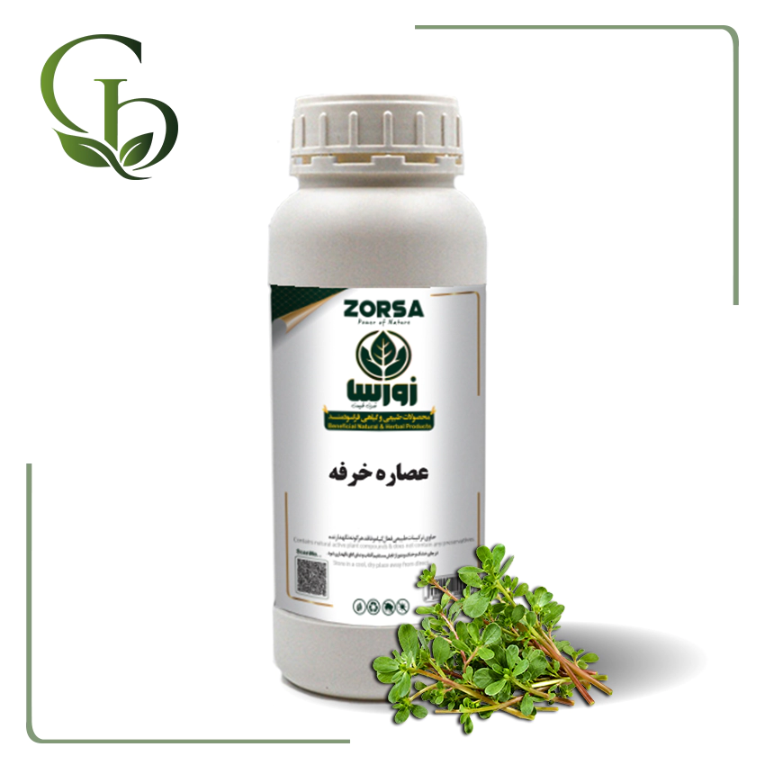 عصاره خرفه مایع عصاره خرفه مایع
