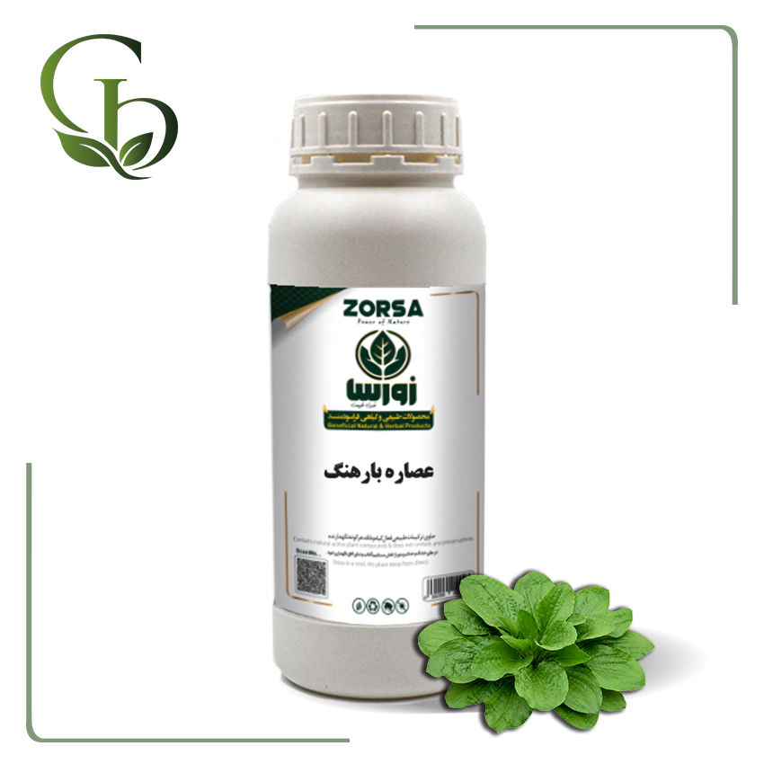 عصاره بارهنگ مایع عصاره بارهنگ مایع