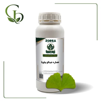 عصاره جینکو بیلوبا مایع