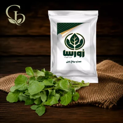 عصاره بولاغ اوتی پودری 1