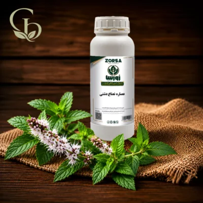 عصاره نعناع دشتی مایع 1