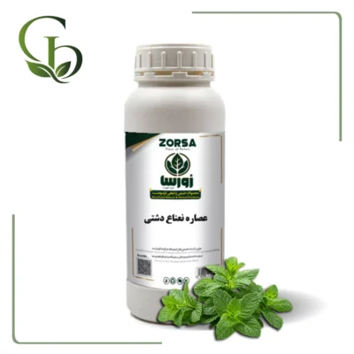 عصاره نعناع دشتی مایع