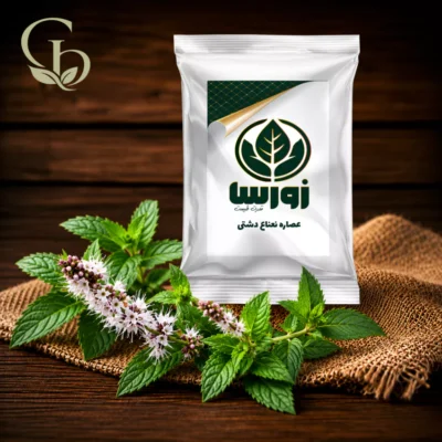 عصاره نعناع دشتی پودری 1