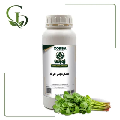 عصاره بذر خرفه مایع