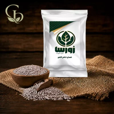 عصاره سیر سیاه پودری 1