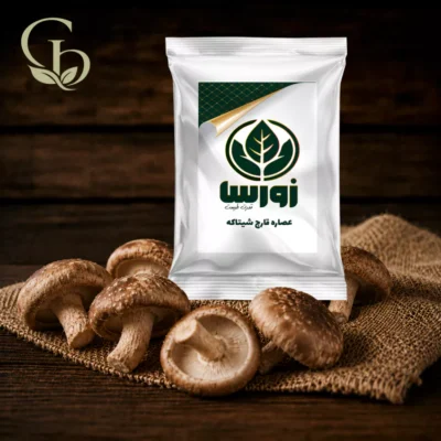 عصاره قارچ شیتاکه پودری 1