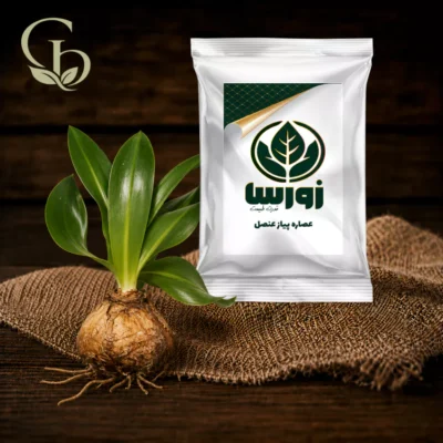 عصاره پیازعنصل پودری 1
