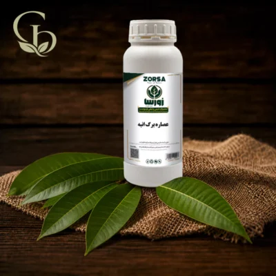 عصاره برگ انبه مایع 1