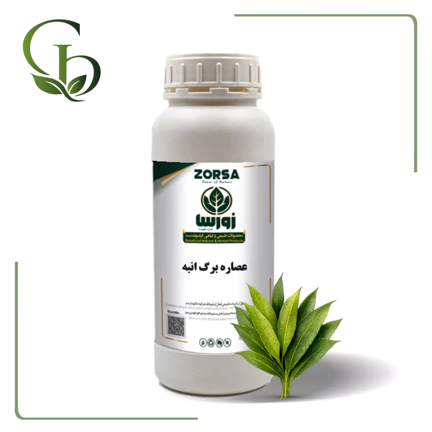 عصاره برگ انبه مایع عصاره برگ انبه مایع