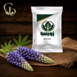 عصاره بالنگو پودری 1