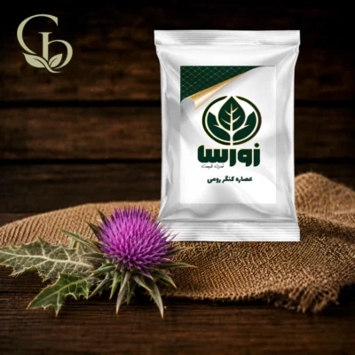 عصاره کنگر رومی پودری 1