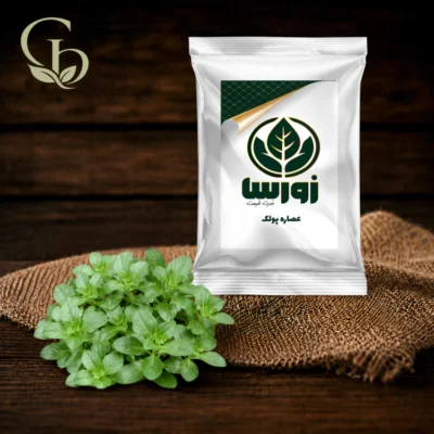 عصاره پولک پودری 1