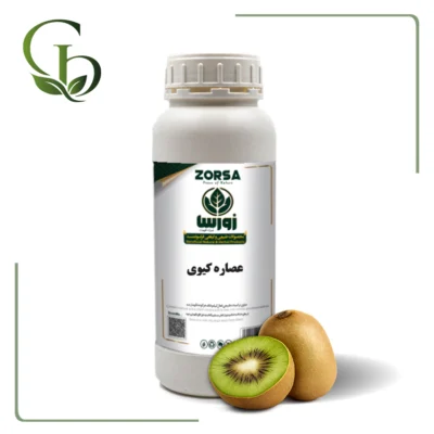 عصاره کیوی صنعتی مایع